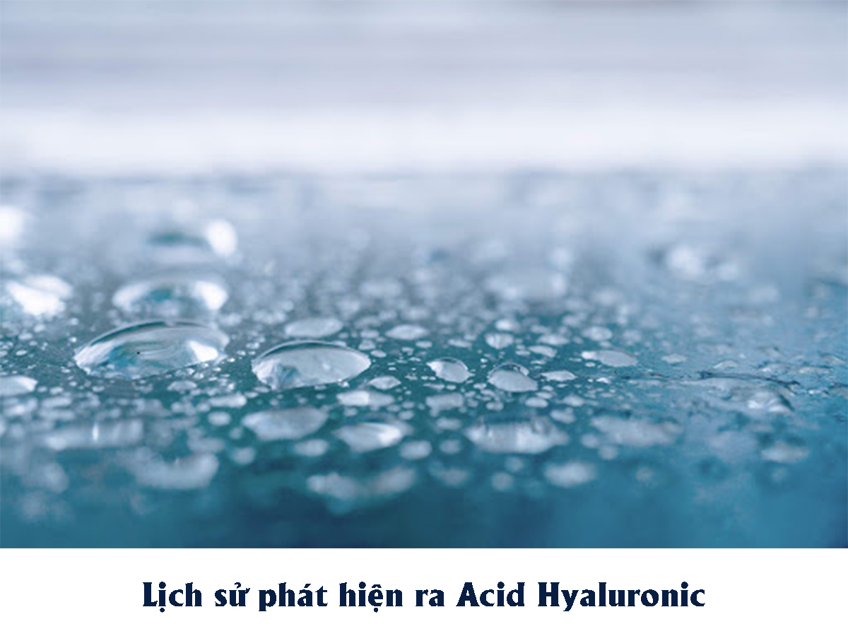 Lịch sử phát hiện ra Acid Hyaluronic