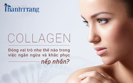 vai trò của collagen
